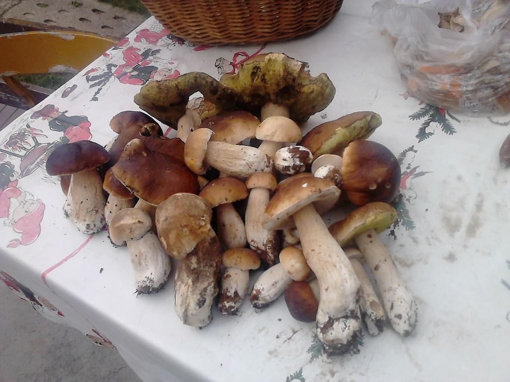 Apartamentypomorze *