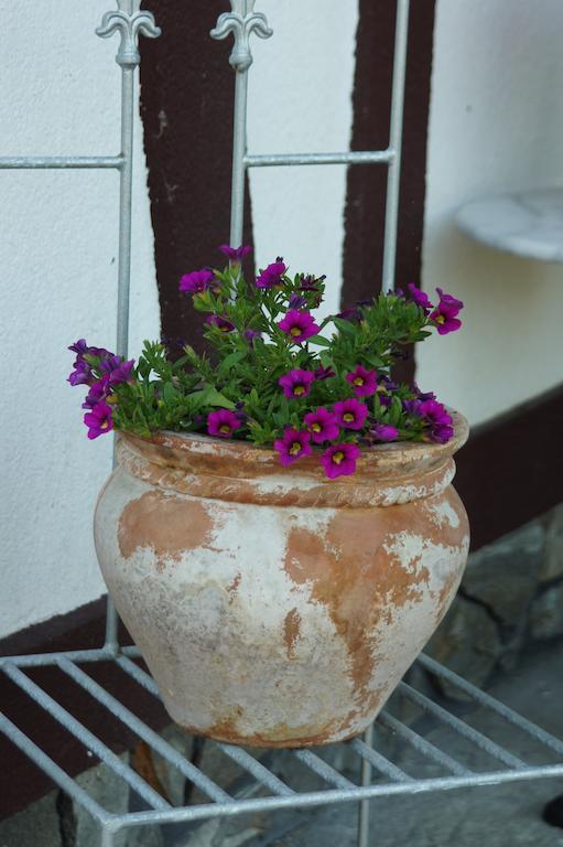 Apartamentypomorze